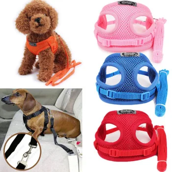 XXS Tiny Dog Harness Lead Set Teacup Mini Puppy Chihuahua Rabbit Cat Toy Lead Red Blue Pink Lead
XXS Tiny Dog Harness Lead Set Teacup Mini Puppy Chihuahua Rabbit Cat Toy Lead Red Blue Pink Lead