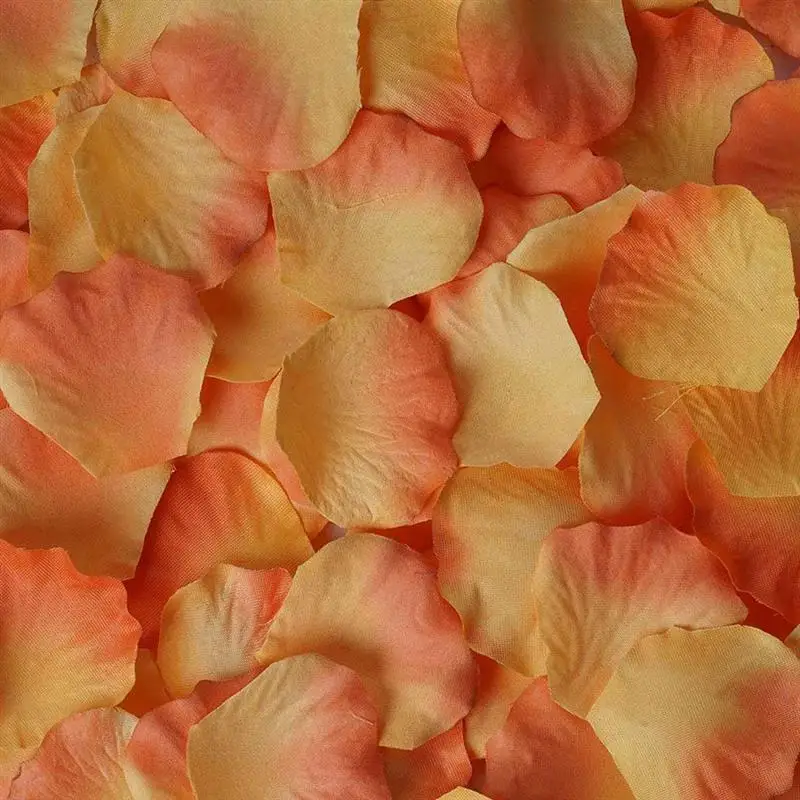 Kuke 100pcs Quner Confetti Peach Artificial Silk Rose Flower Petals Wedding Table Scaters Confetti Favor Bridal Party Decoration
Kuke 100pcs Quner Confetti Peach Artificial Silk Rose Flower Petals Wedding Table Scaters Confetti Favor Bridal Party Decoration