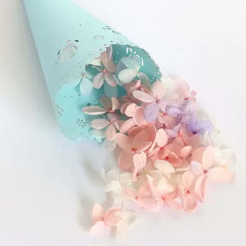 50pcs Wedding Party Confetti Cones Petal Candy Placing Wedding Favors Lace Paper Cones Wedding Decoration Supplies
50pcs Wedding Party Confetti Cones Petal Candy Placing Wedding Favors Lace Paper Cones Wedding Decoration Supplies