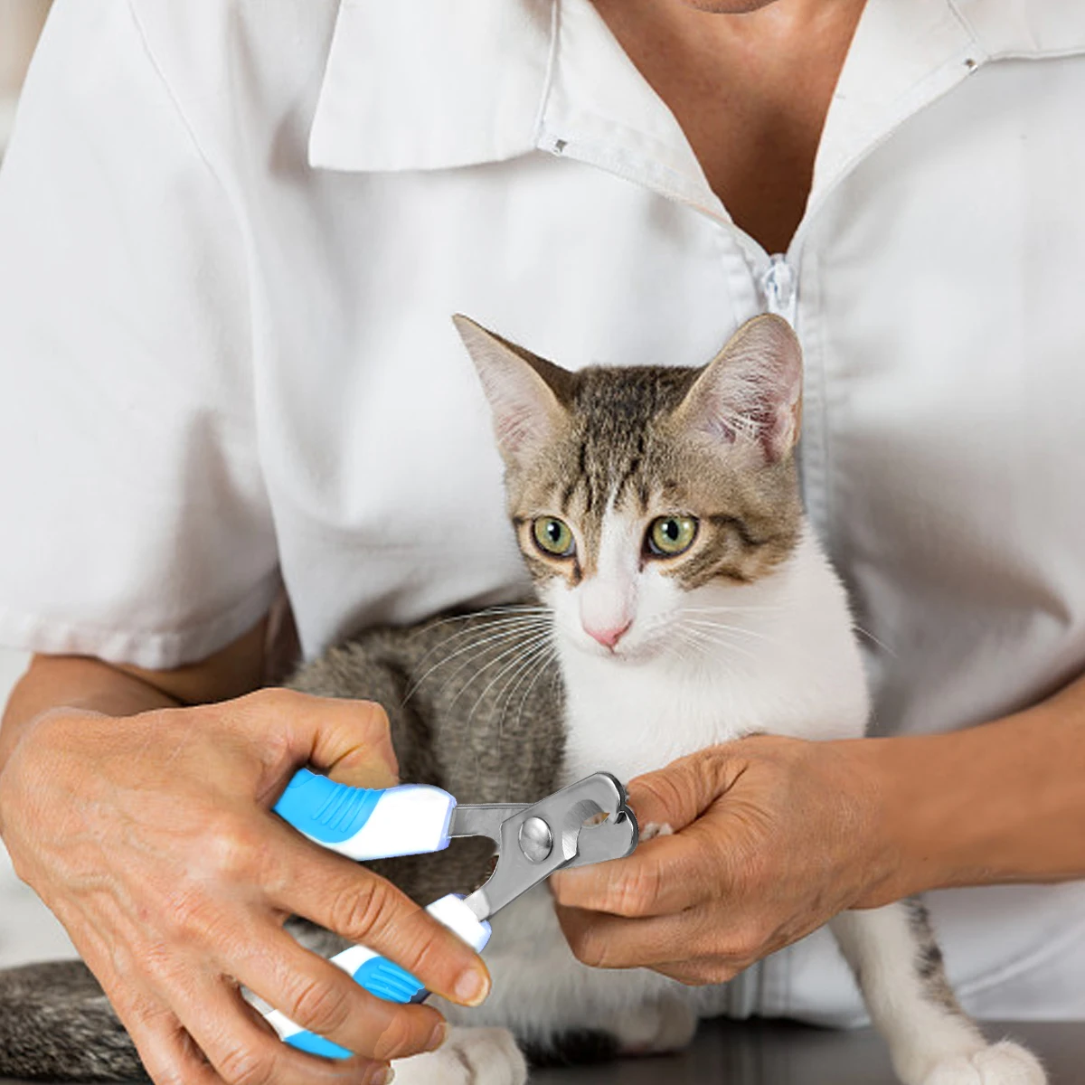 UEETEK Stainless Steel Cats Nail Clippers Professional Nail Cutter Nail Trimmers for Cat Dog Small Breed Rabbit Small Animals
UEETEK Stainless Steel Cats Nail Clippers Professional Nail Cutter Nail Trimmers for Cat Dog Small Breed Rabbit Small Animals