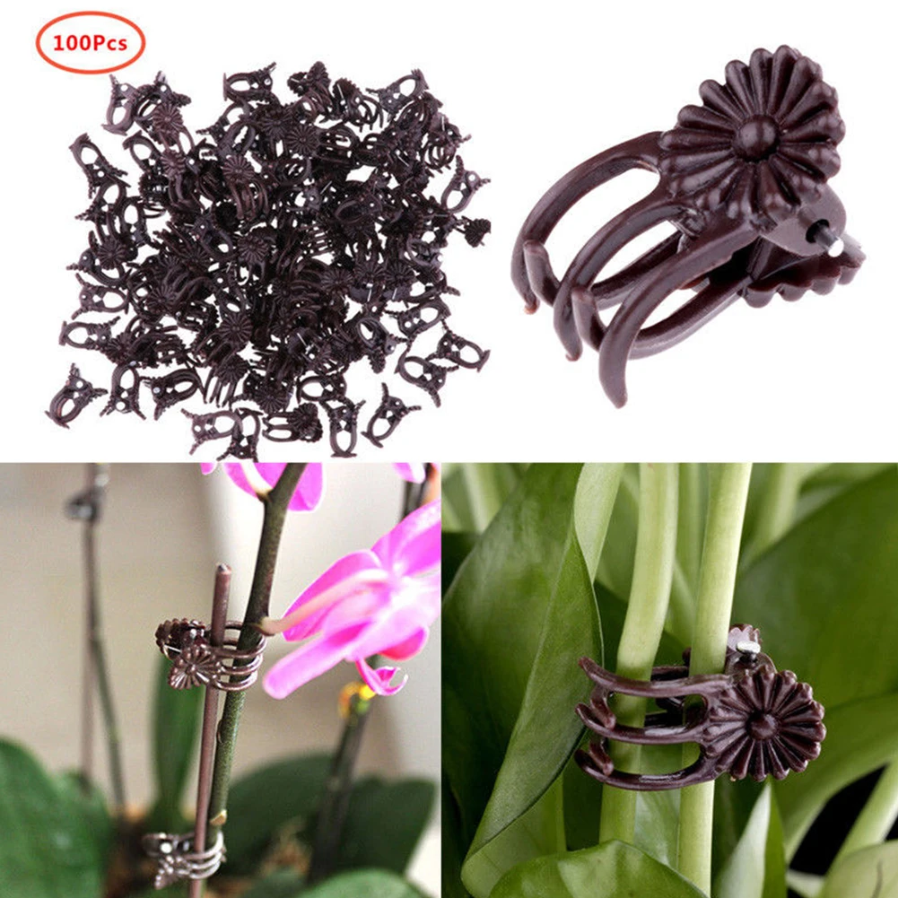 100Pcs Grafting Tool Orchid Hanging Flower Vine Stalks Fix Plant Support Plastic Stems Decoration Clips Garden Grow Upright
100Pcs Grafting Tool Orchid Hanging Flower Vine Stalks Fix Plant Support Plastic Stems Decoration Clips Garden Grow Upright