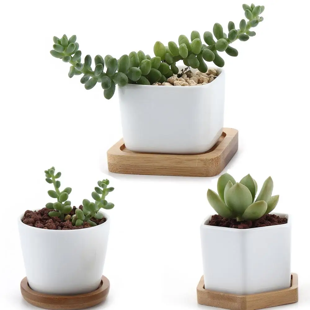 T4U Ceramic Hexagon Succulent maceta bonsai pot Cactus Planter Pots with free Bamboo Tray for Home Decoration
T4U Ceramic Hexagon Succulent maceta bonsai pot Cactus Planter Pots with free Bamboo Tray for Home Decoration