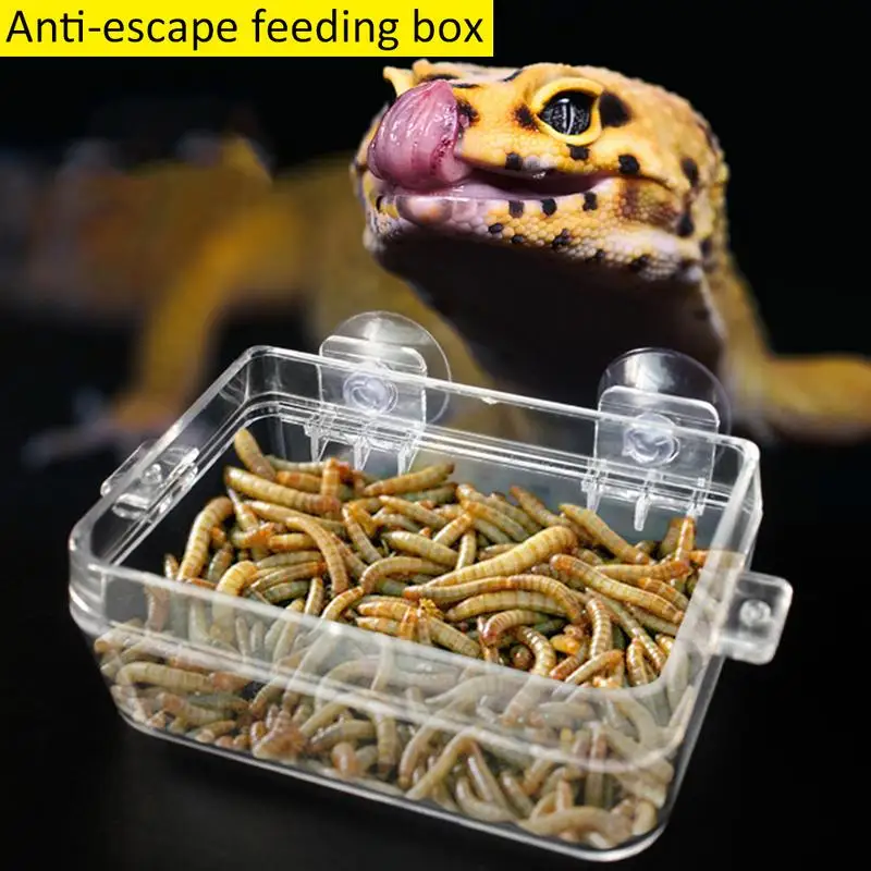 Acrylic Reptile Feeding Box Anti Escape Box Feeder Bowl For Reptile Snake Python Spider Lizard Scorpion Insects Observation Boxs
Acrylic Reptile Feeding Box Anti Escape Box Feeder Bowl For Reptile Snake Python Spider Lizard Scorpion Insects Observation Boxs