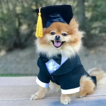 Pet Dog Cap Puppy Doctor Hat Customized Dog Graduation Cap Student Tassel Academic Cap 2019 University Graduation Pet Supplies
Pet Dog Cap Puppy Doctor Hat Customized Dog Graduation Cap Student Tassel Academic Cap 2019 University Graduation Pet Supplies