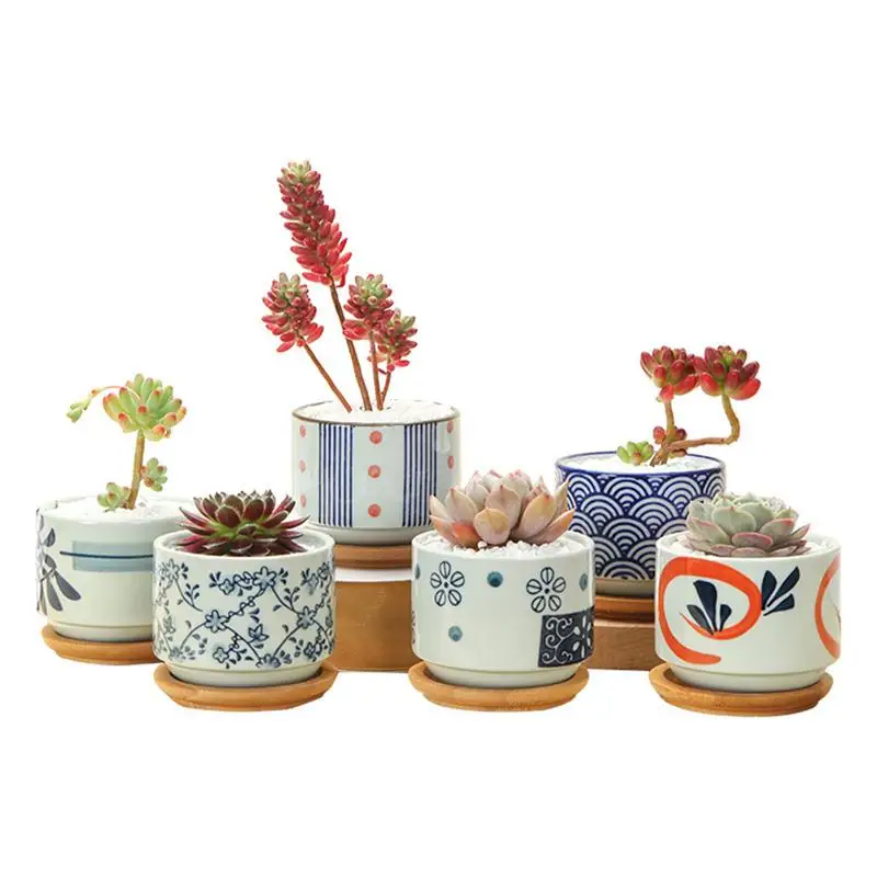 Ceramic Succulent Planter with Clear Hand Painting and Bamboo Tray for Home Decoration
Ceramic Succulent Planter with Clear Hand Painting and Bamboo Tray for Home Decoration