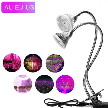 60W Dual Head Led Grow Light with Holder Clip Plants Lamps for Flower Hydroponics System Indoor Garden Greenhouse
60W Dual Head Led Grow Light with Holder Clip Plants Lamps for Flower Hydroponics System Indoor Garden Greenhouse