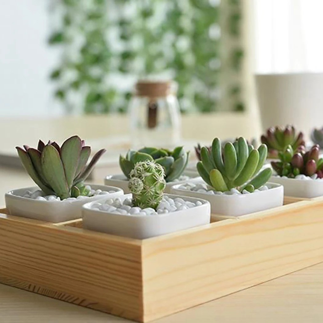 Artificial Succulent Pot Cup Planters Creative Plant Container Plastic Plant Vase Plant Box Landscape Lotus Flower Home Decor
Artificial Succulent Pot Cup Planters Creative Plant Container Plastic Plant Vase Plant Box Landscape Lotus Flower Home Decor