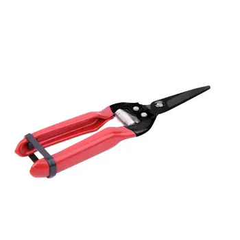 Stainless Steel Corona Pruning Shear Garden Pruner Flowers/Grass Shear Handheld Gardening Pointed Blade Grafting Scissors
Stainless Steel Corona Pruning Shear Garden Pruner Flowers/Grass Shear Handheld Gardening Pointed Blade Grafting Scissors