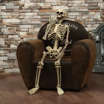 Halloween Party Decoration Poseable 38*12CM Human Skull Skeleton Anatomical House Decoration Scary Gifts Skull Bone Ornaments
Halloween Party Decoration Poseable 38*12CM Human Skull Skeleton Anatomical House Decoration Scary Gifts Skull Bone Ornaments