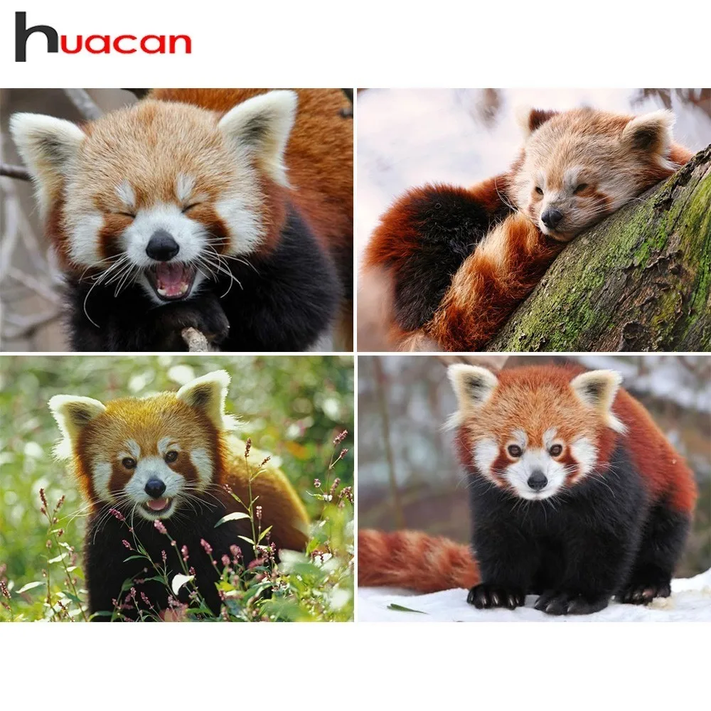 Huacan Full Square Diamond Mosaic Sale Raccoon Picture Of Rhinestones Diamond Painting Animals Diamond Embroidery Wall Decor
Huacan Full Square Diamond Mosaic Sale Raccoon Picture Of Rhinestones Diamond Painting Animals Diamond Embroidery Wall Decor