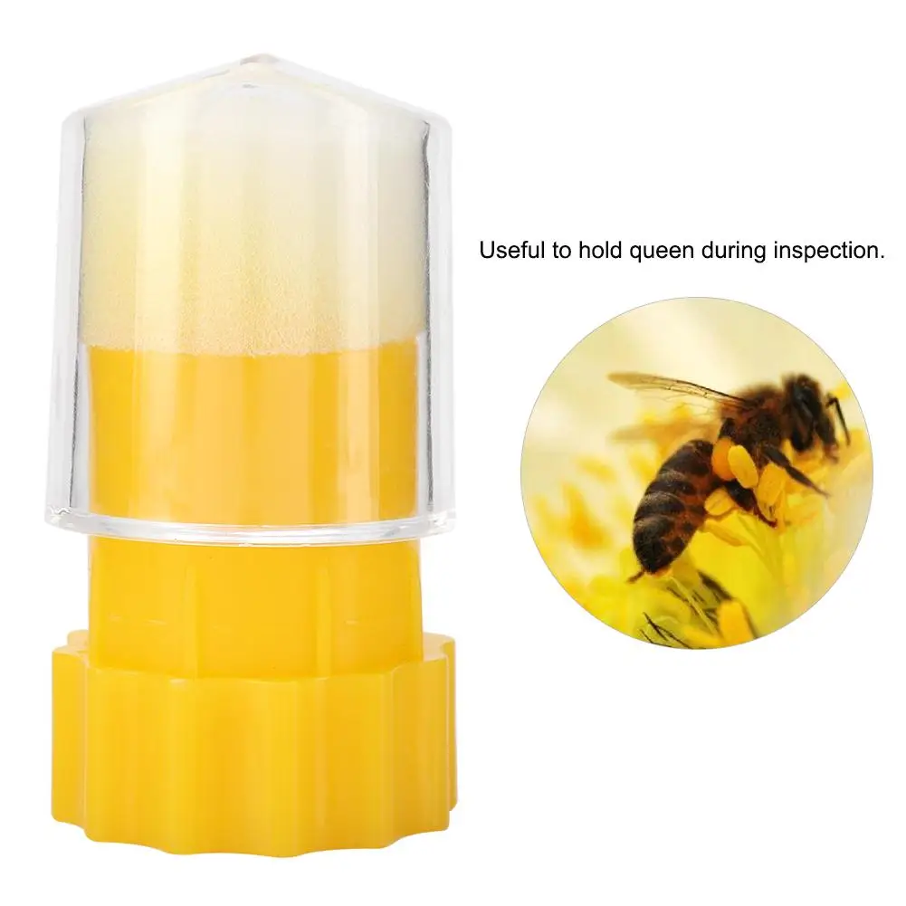 1 pcs Bee Queen Marker Bottle Breathable Queen Bee Marking Cage Bottle Plastic Bee Queen Marking Catcher Beekeeper Tool
1 pcs Bee Queen Marker Bottle Breathable Queen Bee Marking Cage Bottle Plastic Bee Queen Marking Catcher Beekeeper Tool