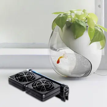 Mini Heat Dissipation Cooling Fan Chiller Fish Tank Aquarium Cold Wind fan With Adjustable Speed Temperature Control EU Plug
Mini Heat Dissipation Cooling Fan Chiller Fish Tank Aquarium Cold Wind fan With Adjustable Speed Temperature Control EU Plug