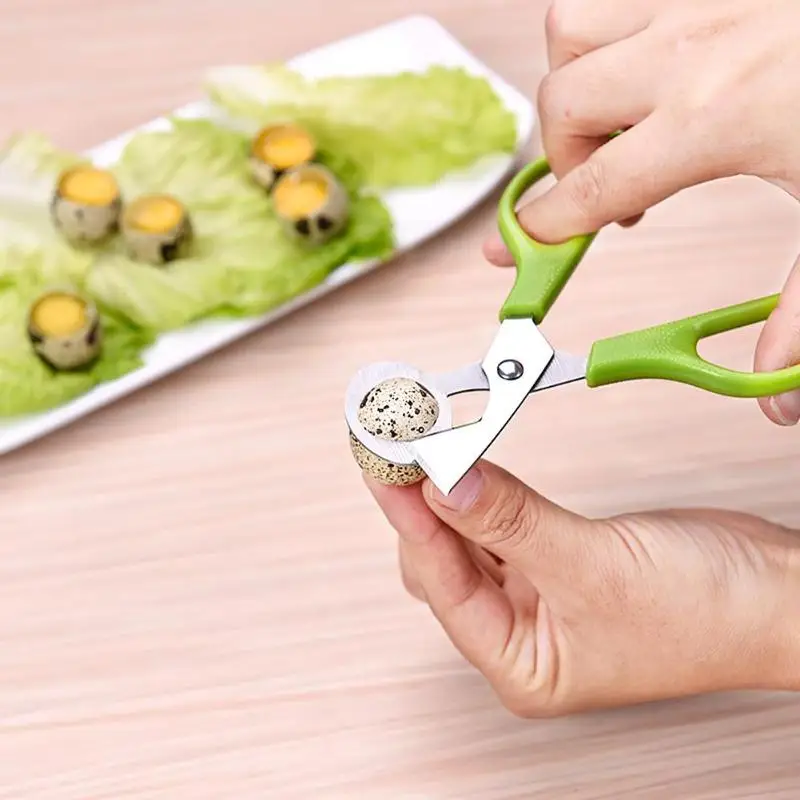 Quail Egg Scissor Stainless Steel Scissor for Pigeon Bird Egg Opener Tools Kitchen Gadgets Eggshell Cutter
Quail Egg Scissor Stainless Steel Scissor for Pigeon Bird Egg Opener Tools Kitchen Gadgets Eggshell Cutter