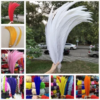 Rare 20-100pcs Pretty Natural Silver Pheasant Tail Feathers 28-30inch/70-75cm Wedding/Dance recital/Party/Halloween/Home decor
Rare 20-100pcs Pretty Natural Silver Pheasant Tail Feathers 28-30inch/70-75cm Wedding/Dance recital/Party/Halloween/Home decor
