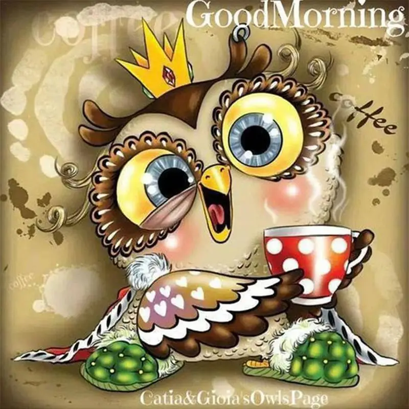 30X30cm 5D Rhinestones Owl Pattern Picture Full Diamonds Needlework Cross Stitch Embroidery DIY Wall Art Mosaic Home Decorations
30X30cm 5D Rhinestones Owl Pattern Picture Full Diamonds Needlework Cross Stitch Embroidery DIY Wall Art Mosaic Home Decorations