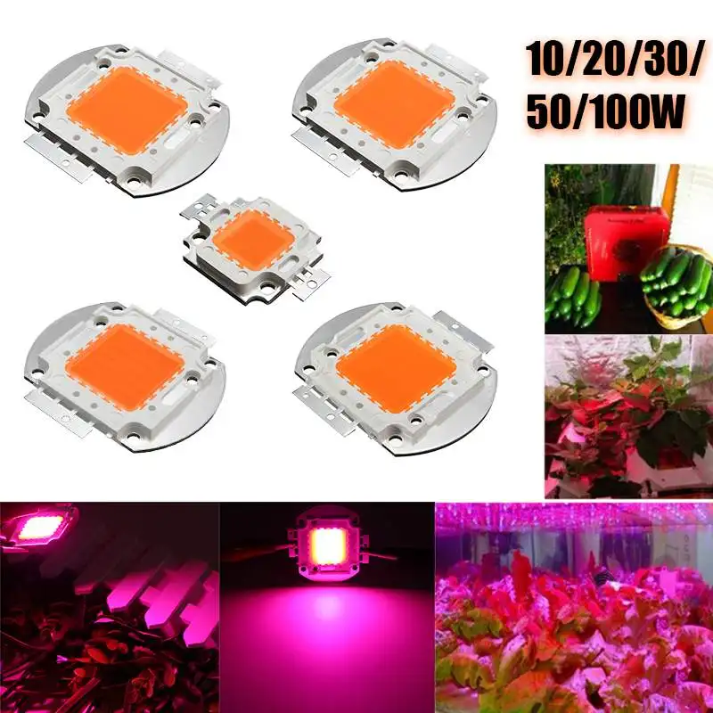 Full Spectrum LED Chip Grow Light High Power 10W 20W 30W 380NM-840NM Growth Lamp Bulb for Indoor Plant Seeding
Full Spectrum LED Chip Grow Light High Power 10W 20W 30W 380NM-840NM Growth Lamp Bulb for Indoor Plant Seeding