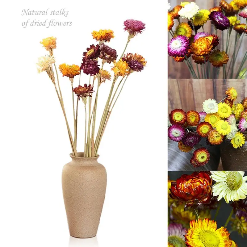 

10pcs Dried Daisy Natural Artificial Flower Colorful Chrysanthemum Arrangement Ornament Garden Small Daisies Straw Stalk