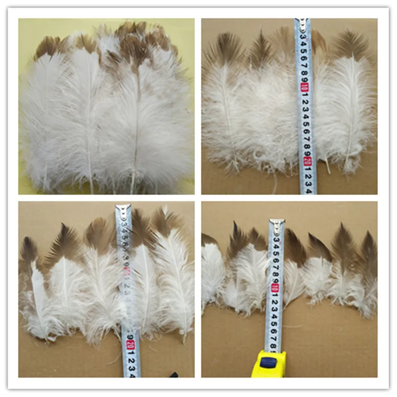 Rare fluffy eagle feathers 10pcs long 4-10 inches in a variety of sizes with beautiful velvet feather trim
Rare fluffy eagle feathers 10pcs long 4-10 inches in a variety of sizes with beautiful velvet feather trim