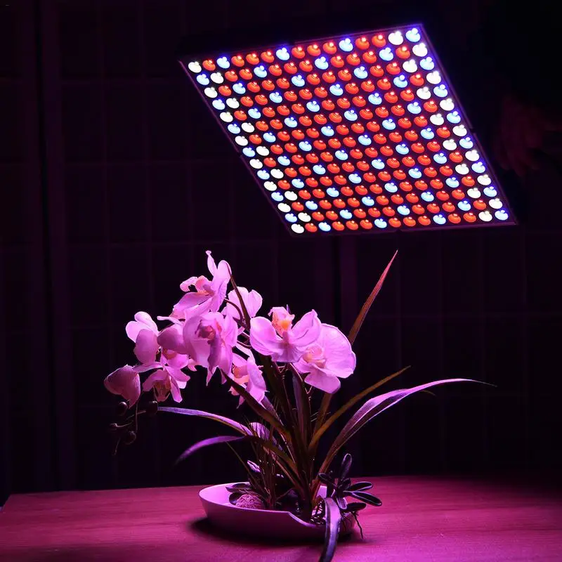 Growing Lamps LED Grow Light 85~265V 45W 225LED Square Chandelier Plant Light For Indoor Plants Flowers Seedling Cultivation
Growing Lamps LED Grow Light 85~265V 45W 225LED Square Chandelier Plant Light For Indoor Plants Flowers Seedling Cultivation