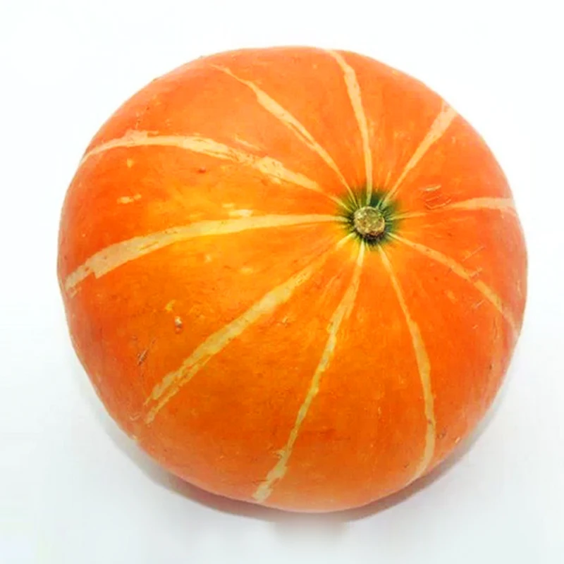 Gardenblooming Plants Sementes Terrace Potted Vegetables Fruit Honey Pumpkin bonsai Easy Species 10pcs
Gardenblooming Plants Sementes Terrace Potted Vegetables Fruit Honey Pumpkin bonsai Easy Species 10pcs