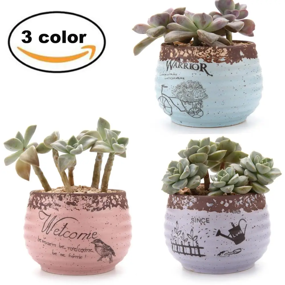 T4U Rustic Style Round Succulent Cactus Plant bonsai Pots Flower Pots Planters Containers Window Boxes garden decoration
T4U Rustic Style Round Succulent Cactus Plant bonsai Pots Flower Pots Planters Containers Window Boxes garden decoration