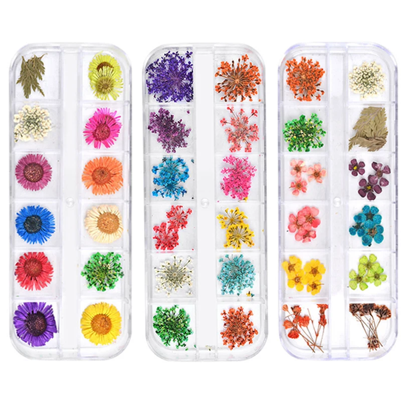 ICYCHEER 12 Style Flowers 3D Nail Art Decoration Design Real Dried Flowers Nail Art DIY Tools For Nail Beauty Accessories
ICYCHEER 12 Style Flowers 3D Nail Art Decoration Design Real Dried Flowers Nail Art DIY Tools For Nail Beauty Accessories