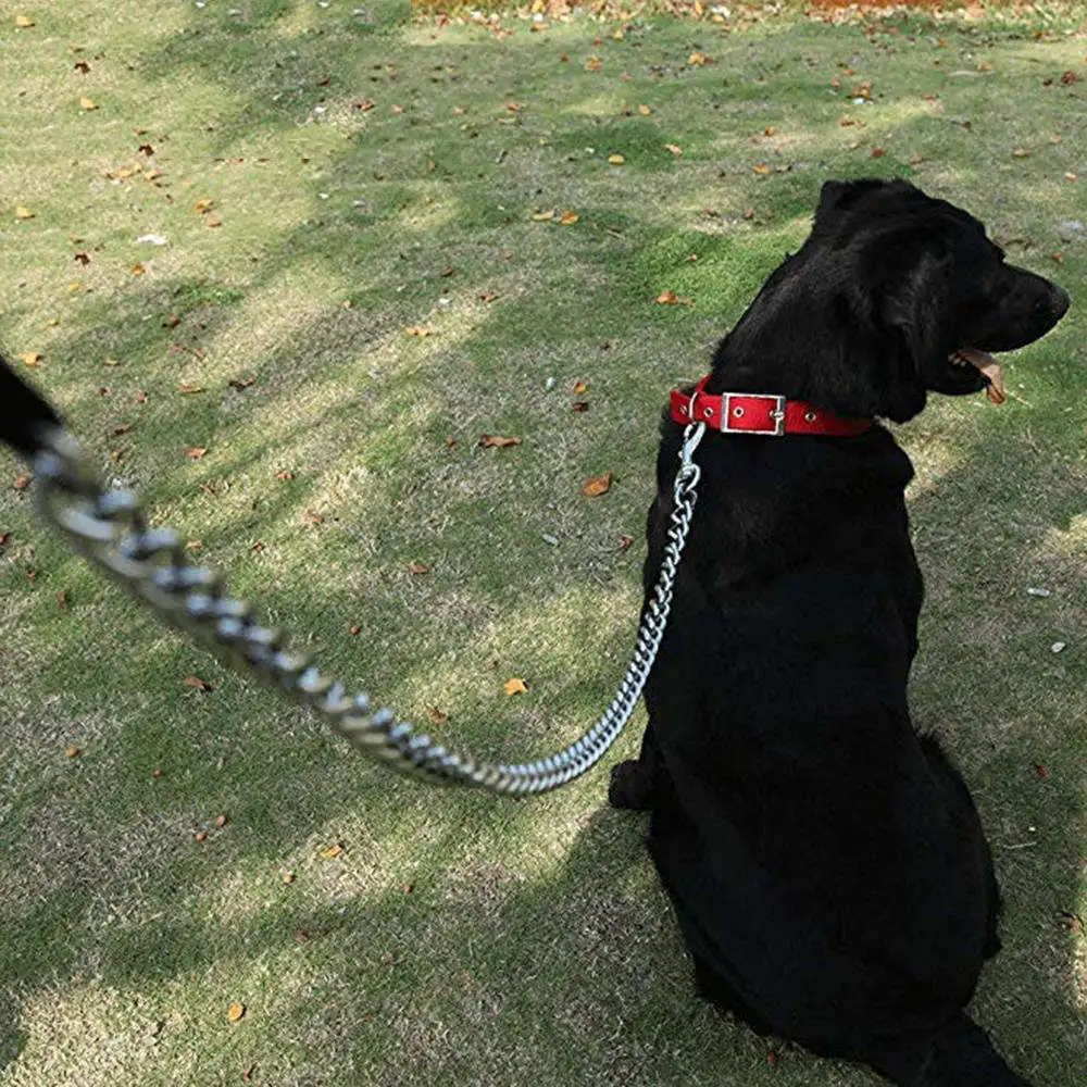 120cm Foam Handle Dog Leash Anti-Rust Durable Traction Rope Anti-Bite Iron Dog Chain For Dogs Walking Training
120cm Foam Handle Dog Leash Anti-Rust Durable Traction Rope Anti-Bite Iron Dog Chain For Dogs Walking Training