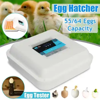 50W 55/64 Position Eggs Automatic Incubator LED Egg Incubator Poultry Hatcher Fully Automatic Home Hatching Machine12V/110-240V
50W 55/64 Position Eggs Automatic Incubator LED Egg Incubator Poultry Hatcher Fully Automatic Home Hatching Machine12V/110-240V
