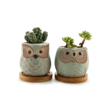 Ceramic Succulent Planter Pots With Bamboo Saucers Mini Size Light Green Set Cute Owl Bonsai Pots
Ceramic Succulent Planter Pots With Bamboo Saucers Mini Size Light Green Set Cute Owl Bonsai Pots