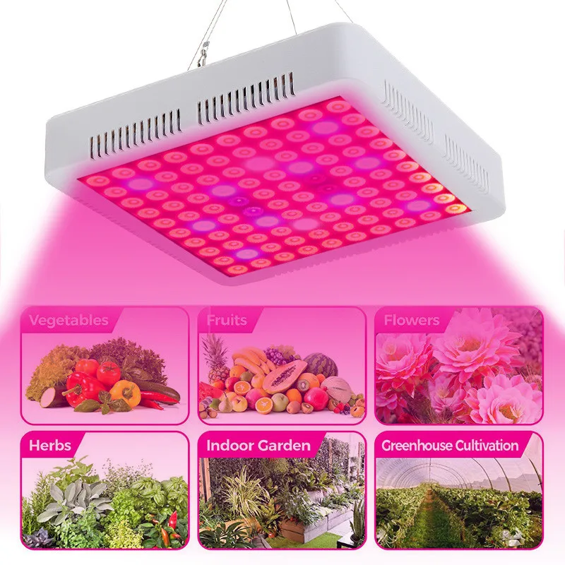 Mising 2000W LED Grow Light Full Spectrum Veg/Bloom for All Indoor Plants and Flower Growing Phytolamp Red Blue Light US/EU plug
Mising 2000W LED Grow Light Full Spectrum Veg/Bloom for All Indoor Plants and Flower Growing Phytolamp Red Blue Light US/EU plug