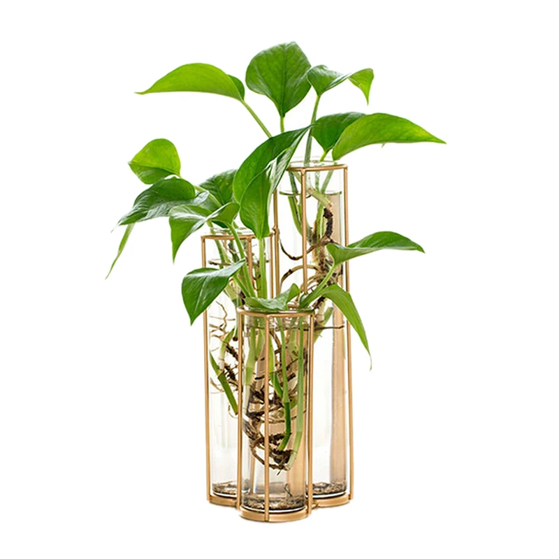 2019 Modern Tube Glass Vase Bottle For Flower Plant DIY Home Decoration Terrarium Hydroponic Green Plant Container Glass Vase
2019 Modern Tube Glass Vase Bottle For Flower Plant DIY Home Decoration Terrarium Hydroponic Green Plant Container Glass Vase