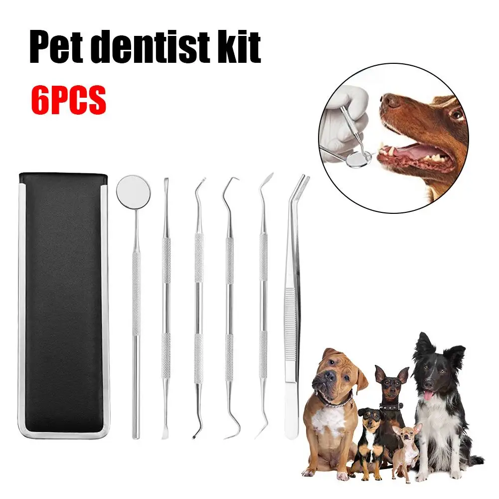 6PCS Pet Dental Tools Set Stainless Steel Professional Mouth Mirror Tweezers Scale-borer Oral Hygiene Cleaning Pet Dental Care
6PCS Pet Dental Tools Set Stainless Steel Professional Mouth Mirror Tweezers Scale-borer Oral Hygiene Cleaning Pet Dental Care