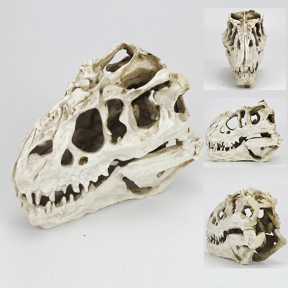 Tyrannosaurus Dinosaur Skull Model Figurine Sculpture Craft Statues School Medical Halloween Decoration Gifts Dinosaur Skull
Tyrannosaurus Dinosaur Skull Model Figurine Sculpture Craft Statues School Medical Halloween Decoration Gifts Dinosaur Skull