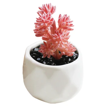 Potted Plant Creative Artificial Plant Fake Plant Succulent Bonsai (Including Pots) Creative Ornaments For Home Office Decor
Potted Plant Creative Artificial Plant Fake Plant Succulent Bonsai (Including Pots) Creative Ornaments For Home Office Decor