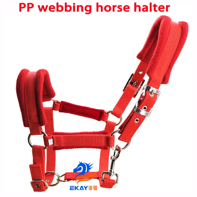 Free shipping PP webbing horse halter,silver color metal fittings.6MM thick webbing(BLT2005B)
Free shipping PP webbing horse halter,silver color metal fittings.6MM thick webbing(BLT2005B)