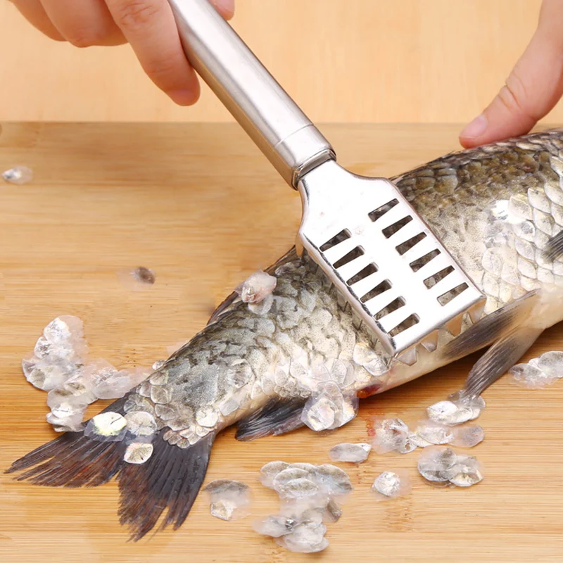 Fish Cleaning Tools Scraping Scales Fishing Barbecue Buffet Tool Brush Scraping Scales Fish Cover Practical Kitchen Tool
Fish Cleaning Tools Scraping Scales Fishing Barbecue Buffet Tool Brush Scraping Scales Fish Cover Practical Kitchen Tool