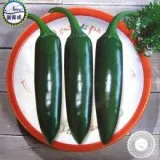 Ya Shi Fengming wholesale Jingyan bullet pepper bonsai highly heat resistant and moisture resistant (200 Pcs)
Ya Shi Fengming wholesale Jingyan bullet pepper bonsai highly heat resistant and moisture resistant (200 Pcs)
