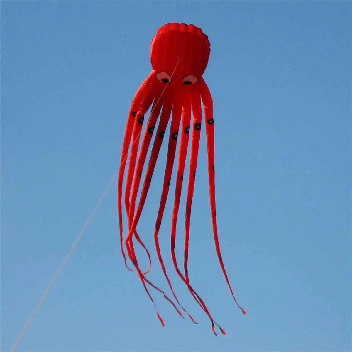Large Octopus Kite with Handle Line Children Kites Eagle Surfing Cute Animal Vlieger Octopus Kite Adults Fun Flying Kites
Large Octopus Kite with Handle Line Children Kites Eagle Surfing Cute Animal Vlieger Octopus Kite Adults Fun Flying Kites