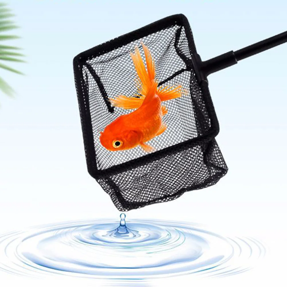Extendable Fish Net L Size Aquarium Fishing Net Fish Tank Net Catcher Retractable Long Handle Fish Net Extendable Square S M L
Extendable Fish Net L Size Aquarium Fishing Net Fish Tank Net Catcher Retractable Long Handle Fish Net Extendable Square S M L
