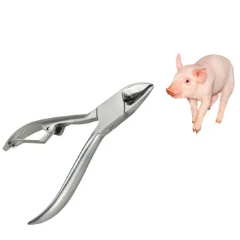 Pig Stainless steel Cutting tooth pliers elbow shrapnel pig 10cm12cm14cm instrument piglet livestock breeding equipment
Pig Stainless steel Cutting tooth pliers elbow shrapnel pig 10cm12cm14cm instrument piglet livestock breeding equipment