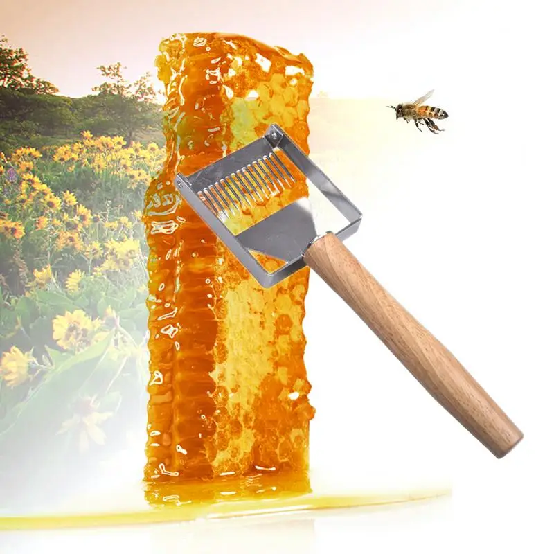 Apiculture Uncapping Fork Iron Honeycomb Honey Scraper Wooden Handle Apicultura Equipment Uncapping Fork Beekeeping Tools
Apiculture Uncapping Fork Iron Honeycomb Honey Scraper Wooden Handle Apicultura Equipment Uncapping Fork Beekeeping Tools