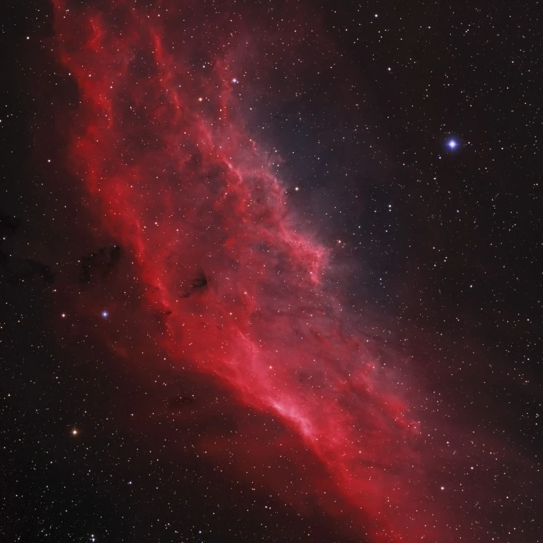 NGC 1499 Калифорнийский постер туман печати (12x16) | Дом и сад