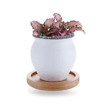 Ceramic Mini Korea Style Snow Serial Succulent Cactus Plant Pot Flower Pot Container Planter With Bamboo Trays
Ceramic Mini Korea Style Snow Serial Succulent Cactus Plant Pot Flower Pot Container Planter With Bamboo Trays