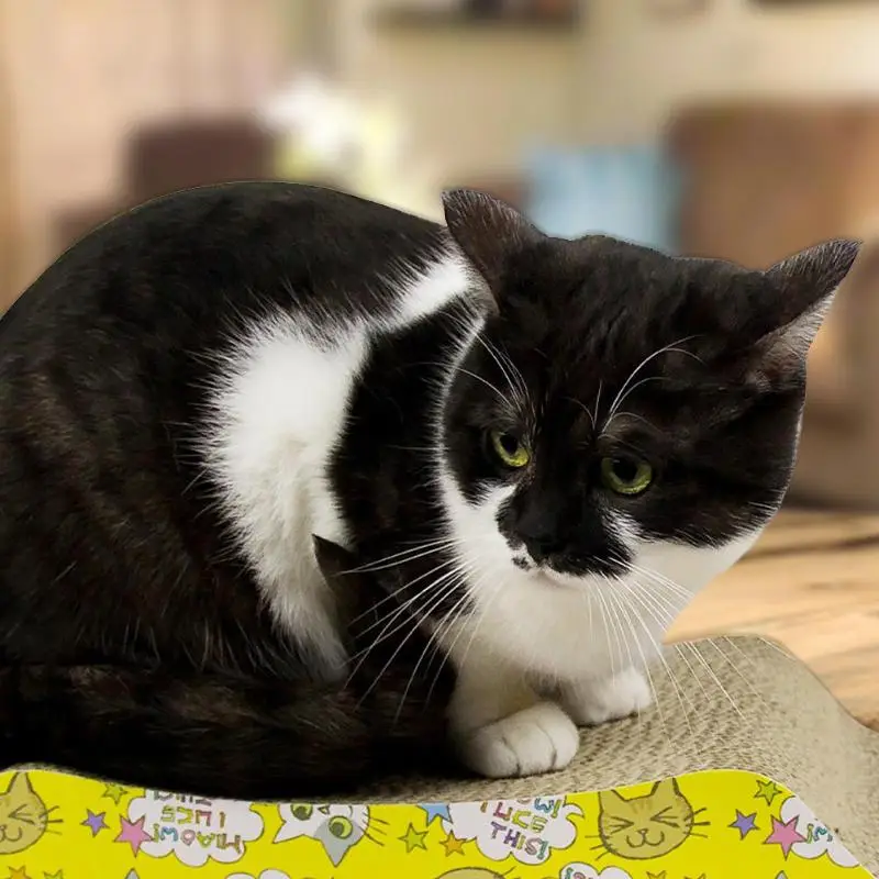 Corrugated Paper Cat Scratcher For Kitten Catnip Cat Scratching Pad Board Mat Scratcher For Cats Pet Toy Game Accessories
Corrugated Paper Cat Scratcher For Kitten Catnip Cat Scratching Pad Board Mat Scratcher For Cats Pet Toy Game Accessories