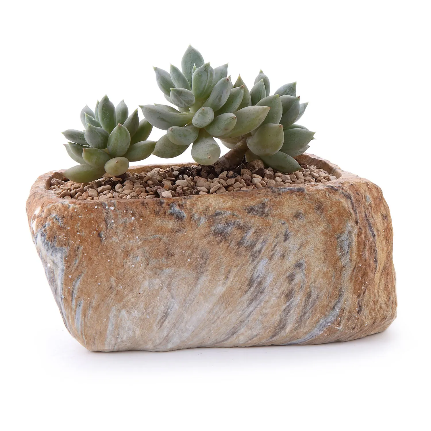 Отличительная форма камня сочные ящик для комнатных растений завод полимерный