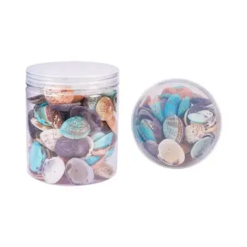1 Box About 100-120Pcs Mixed Colors Clam Seashells Oval Shells Craft DIY Home Deco 32-37mm Length
1 Box About 100-120Pcs Mixed Colors Clam Seashells Oval Shells Craft DIY Home Deco 32-37mm Length