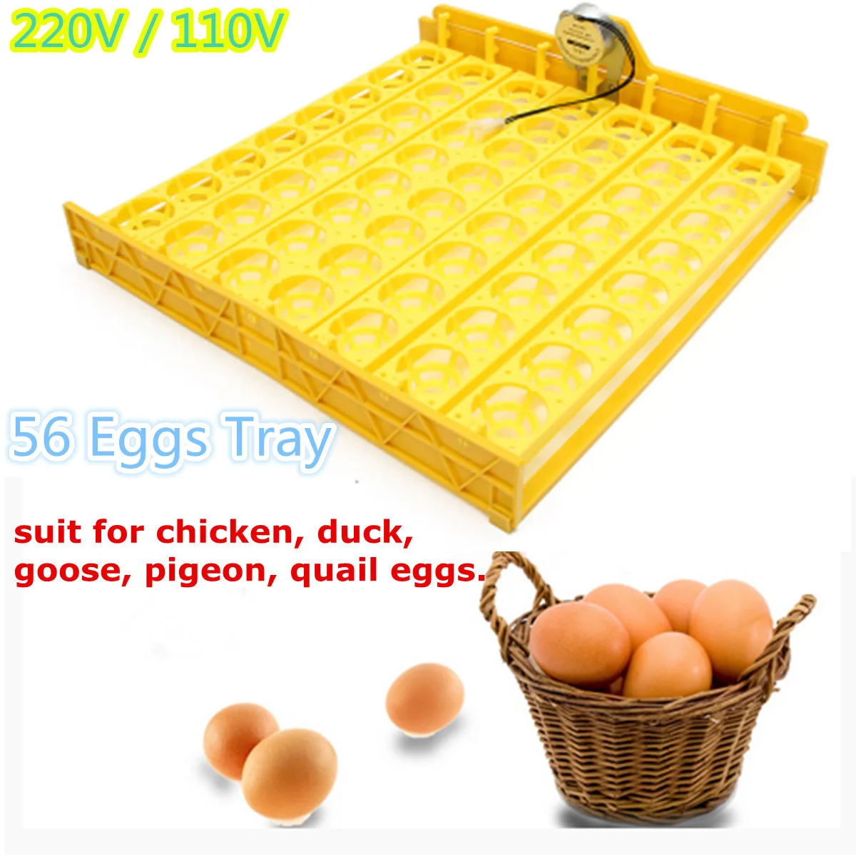 220V/110V 56 Eggs Incubator Chicken Duck Poultry Automatic Incubator Poultry Eggs Poultry Incubation Equipment Plastic Eggs Tray
220V/110V 56 Eggs Incubator Chicken Duck Poultry Automatic Incubator Poultry Eggs Poultry Incubation Equipment Plastic Eggs Tray