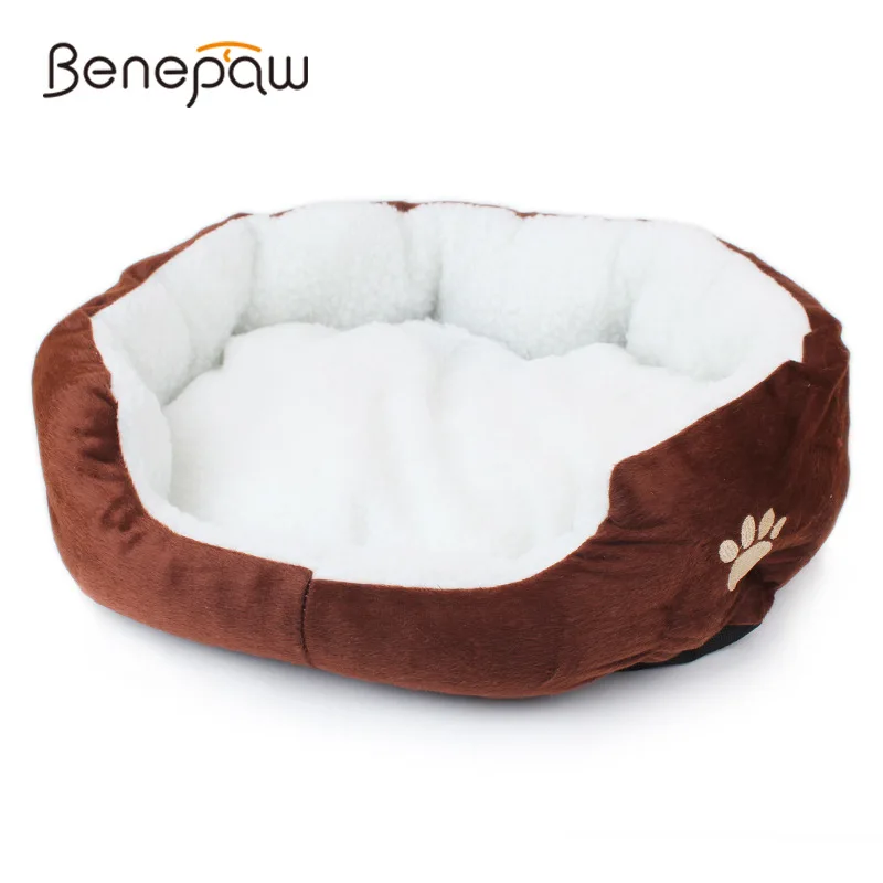 Benepaw Cozy Dog Beds For Small Dogs Warm Puppy Sofa Autumn Winter Pet Cushion Mats Supplies
Benepaw Cozy Dog Beds For Small Dogs Warm Puppy Sofa Autumn Winter Pet Cushion Mats Supplies