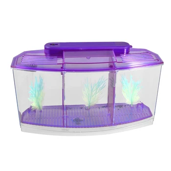 Promotion! transparent, purple Plastic Battery Powered LED Lamp Mini Desktop Fish Aquarium
Promotion! transparent, purple Plastic Battery Powered LED Lamp Mini Desktop Fish Aquarium