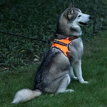 Saddle Type Dog Harness With Handle Adjustable Easy Control For Medium Large Dogs Outdoor Soft Dog Vest Harness Pet Supplies
Saddle Type Dog Harness With Handle Adjustable Easy Control For Medium Large Dogs Outdoor Soft Dog Vest Harness Pet Supplies